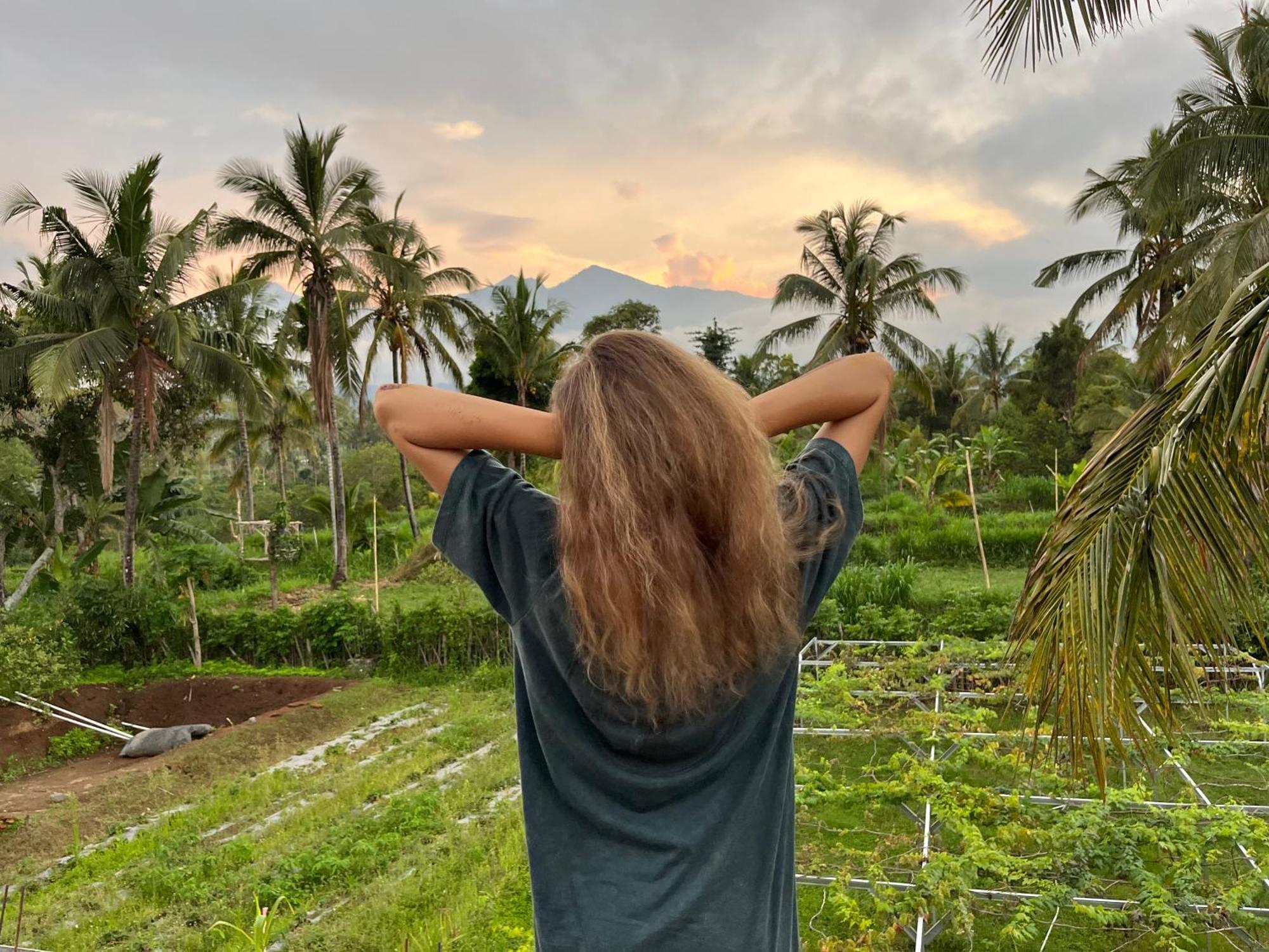 Rinjani Eco Villa Senaru Bayan Ngoại thất bức ảnh