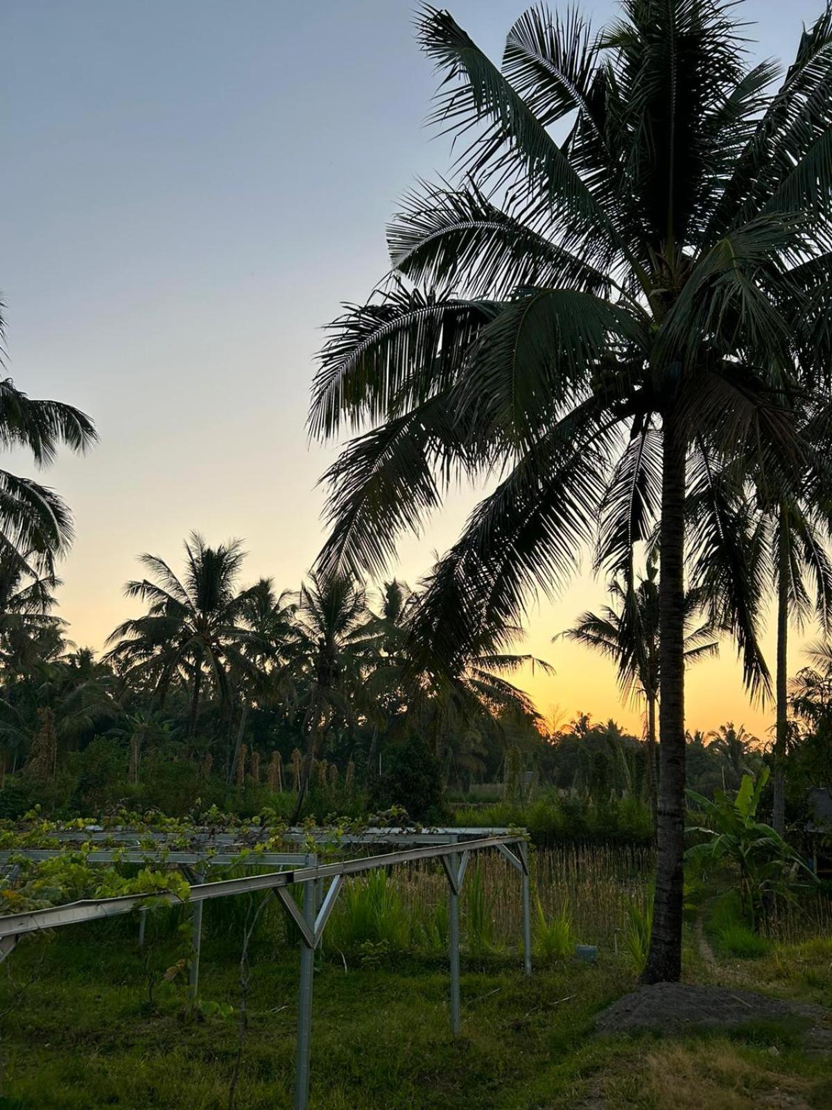 Rinjani Eco Villa Senaru Bayan Ngoại thất bức ảnh