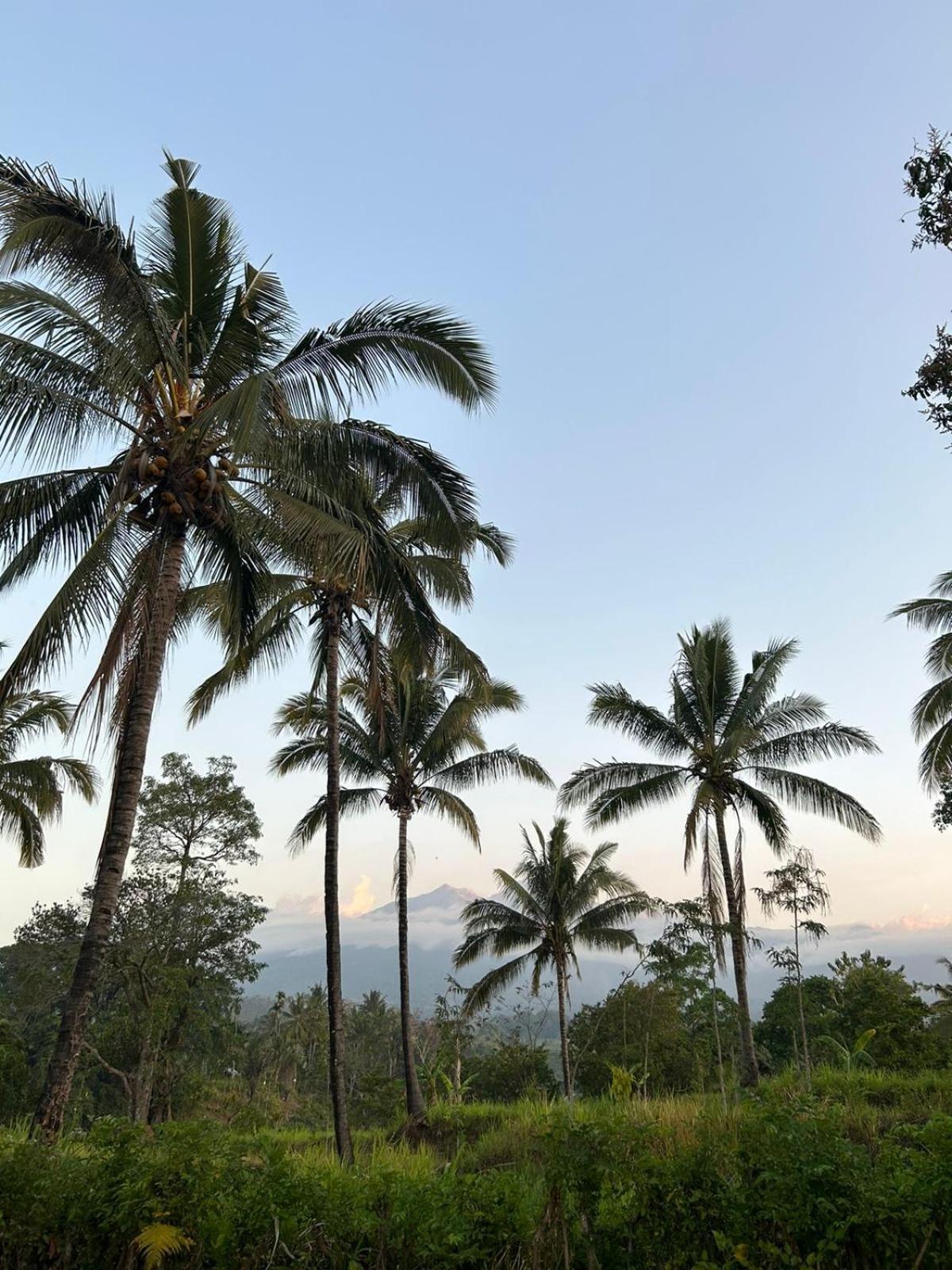 Rinjani Eco Villa Senaru Bayan Ngoại thất bức ảnh