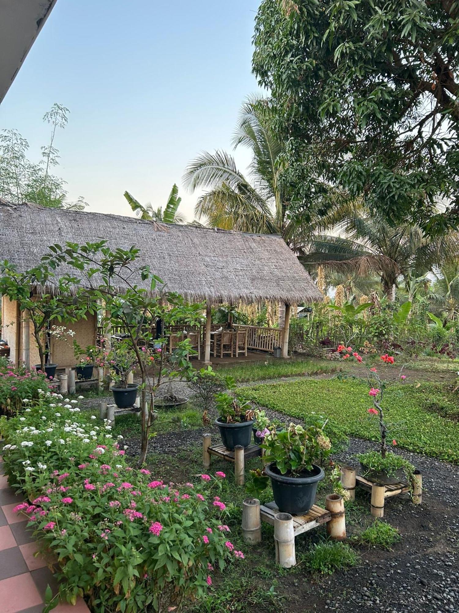 Rinjani Eco Villa Senaru Bayan Ngoại thất bức ảnh
